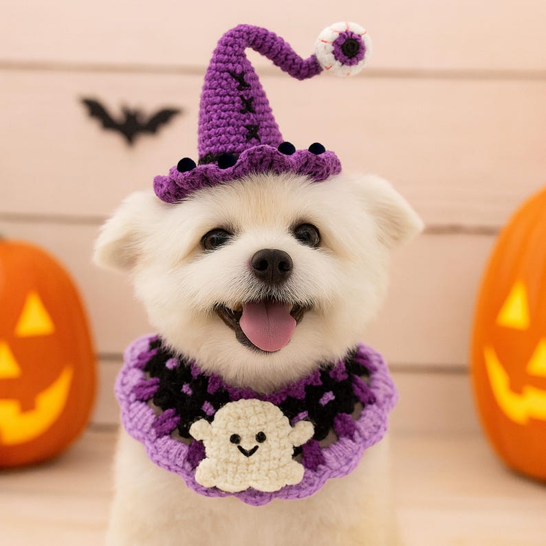 May include: A white dog wearing a purple crochet witch hat with an eyeball and a matching collar with a ghost applique. The dog is smiling with its tongue out, and there are two carved pumpkins in the background, perfect for Halloween.