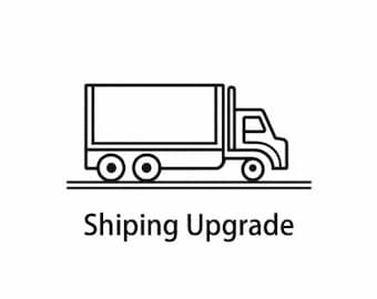 Priority Processing & Shipping Upgrade: Faster Delivery