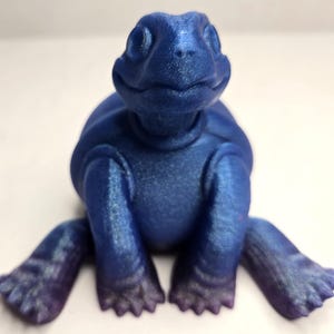 Tortoise Nosework Scent Vessel: Dog Training Hide
