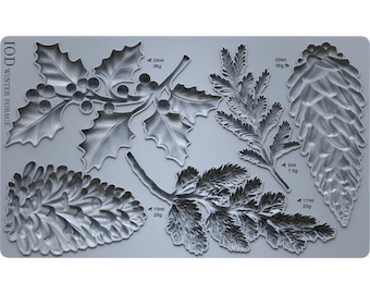 Winter Forage Mould by IOD
