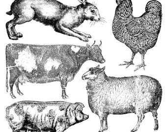 Farm Animals Decor Stamp By IOD