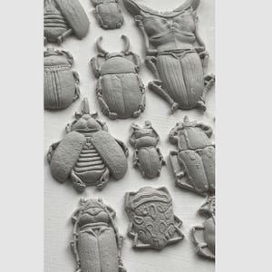 Specimens Mould By IOD