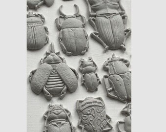 Specimens Mould By IOD