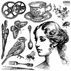 Charlotte Stamp Single Sheet By IOD
