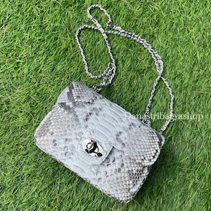 Könnte beinhalten: Eine hellgraue und weiße Crossbody-Tasche aus Schlangenleder mit einem silbernen Kettenriemen. Die Tasche hat eine rechteckige Form mit einem Klappenverschluss und einem silbernen Verschluss. Die Tasche befindet sich vor einem Hintergrund aus grünem Gras.