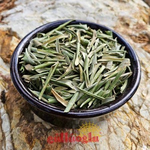 Gulluoglu Olive Leaves – Naturally Dried, Additive-Free – Herbal Tea & Wellness Tradition from the Mediterranean