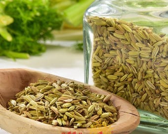 Getrocknete Fenchelsamen – Gulluoglu natürlich, aromatisch - rein – handgesiebter Kräutertee – Kulinarisches Gewürz
