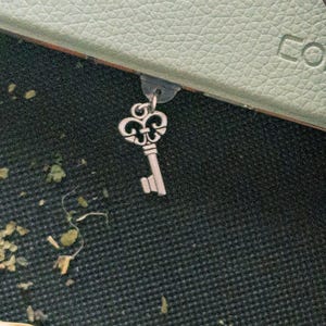 Skeleton Key Dust Plug Charms for E-Readers | Kindle Charm | Iphone | Ipad | Micro USB | USB-C