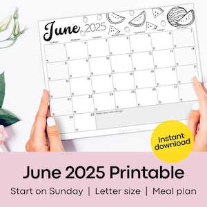 Calendrier de juin 2025 PDF modifiable, planificateur de repas familial, calendrier de menus imprimable pour les repas hebdomadaires d'été et l'horaire de planification du menu et de la préparation des repas