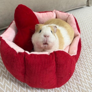 Bed for Guinea Pigs and Small Pets – Velour , Сotton , Fleece or Plush and other fabrics Bed with a pillow