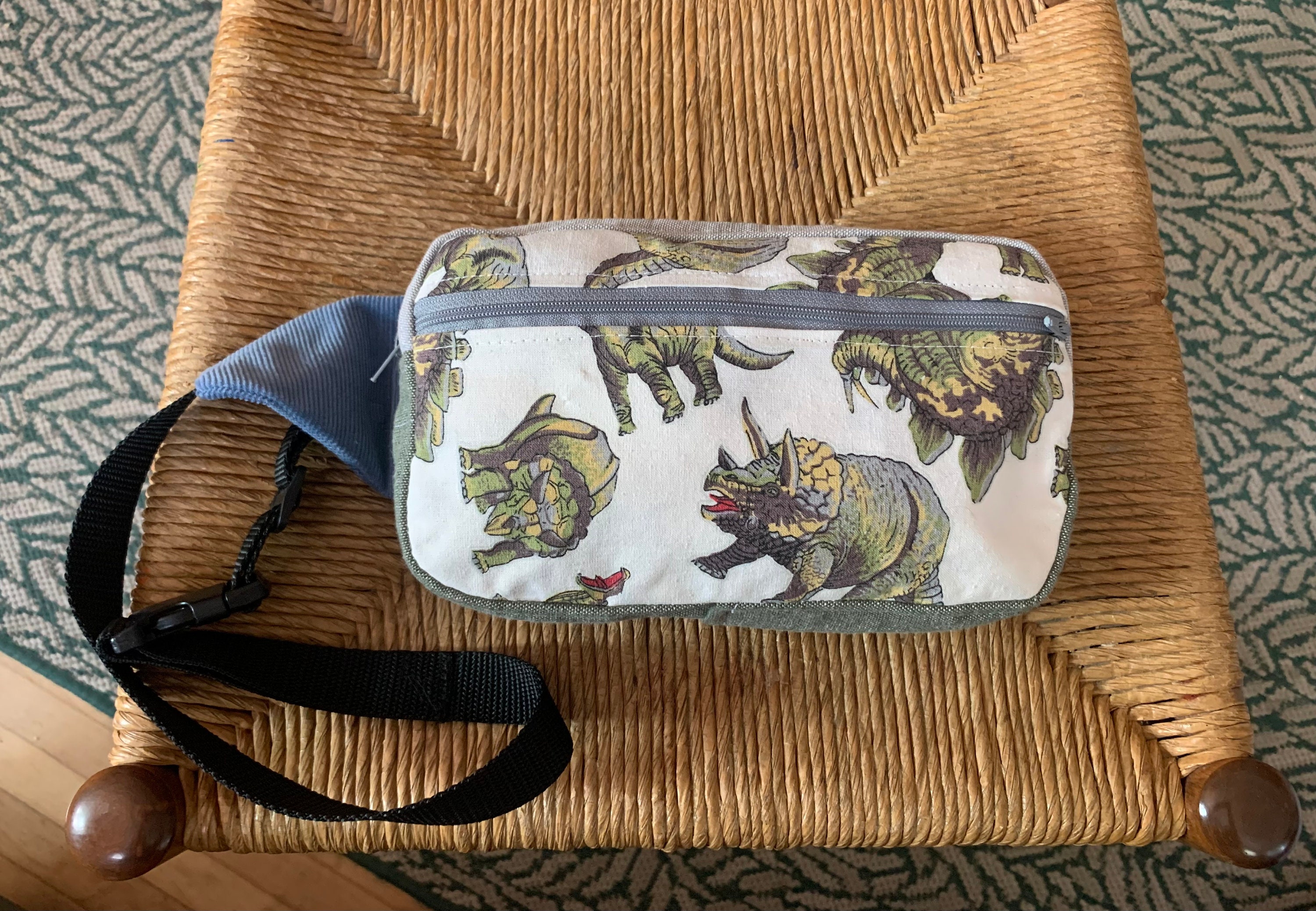 My dinosaur fanny pack sale