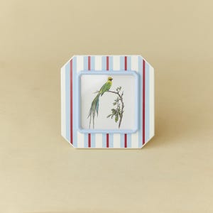 Striped Picture Frame with Vintage Bird Print – Colorful Retro Photo Frame – Available in 4x4, 4x6, 5x7 – Whimsical Gift for Nature Lovers