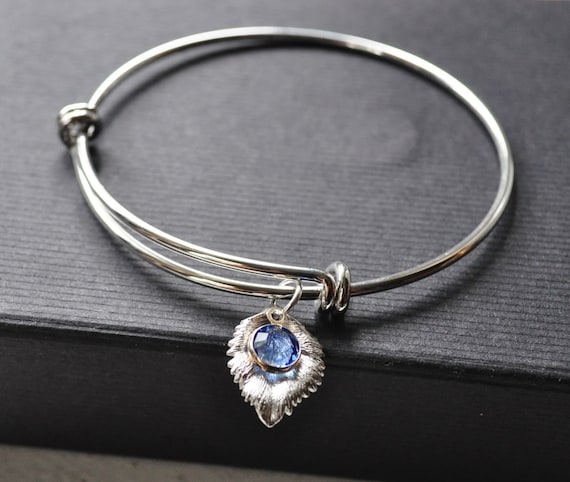 CustomCharms Nebraska State Expandable Wire Charm Bracelet Bangle w//Blue Color Crystals