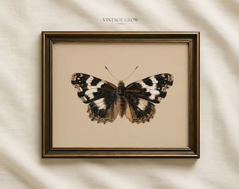 Vintage Schmetterling & Motte Print | Dunkle schwermütige Entomologie-Insekten-Wand-Kunst | Digitaler Download | #V432
