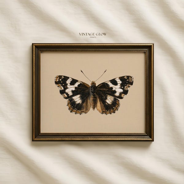 Vintage Butterfly & Moth Print | Dark Moody Entomology Insect Wall Art | Digital Download | #V432