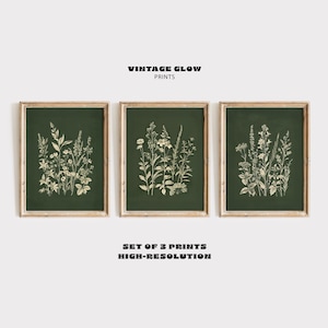 Conjunto de láminas botánicas vintage / Galería de pared floral verde (Descarga digital)