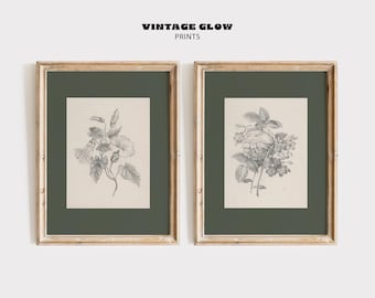 Set of 2 Vintage Flower Sketch Prints | Sage Green Botanical Wall Art | Antique Etching Style Floral Drawings | Printable Digital Download