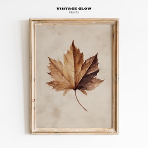 Puede incluir: Una impresión en acuarela enmarcada con una hoja de arce detallada en tonos marrones y beige. La hoja está centrada sobre un fondo beige, con el texto "VINTAGE GLOW PRINTS" en la parte superior. El marco es de color madera clara natural.