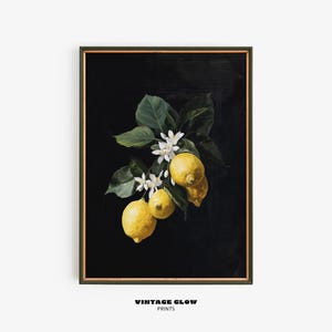 Vintage Lemon Still Life Print | Farmhouse Kitchen Wall Art | Country Fruit Painting | Rustic Yellow Citrus Decor | Digital Download | #V227
