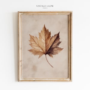 May include: A framed wall art print featuring a watercolour illustration of a single brown maple leaf centred on a beige background. The text VINTAGE GLOW PRINTS is printed in black at the top centre. The frame is a light gold metallic material.