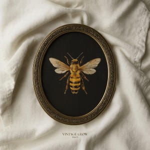 Vintage Bee Botanical Print | Rustic Summer Cottagecore Insect Wall Art | Digital Download