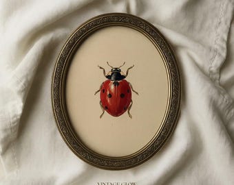 てんとう虫の水彩画プリント、自然昆虫アート、ひまわりの庭の装飾