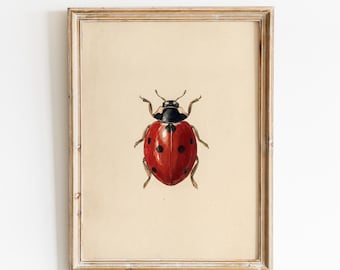 Kunstprint van een lieveheersbeestje | Rode lieveheersbeestje | Cottagecore botanische wanddecoratie voor de kinderkamer | Digitale download