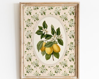 Zitrone botanische Kunstdruck | Vintage Citrus Oval Cameo Wandkunst | 60er Jahre Küchen Dekor