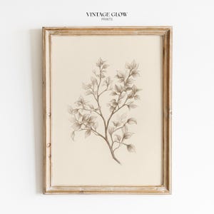 以下が含まれることがあります： クリーム色の背景に茶色の色合いで描かれた葉の枝の植物鉛筆スケッチを特徴とする額入りウォールアートプリント。上部中央にVINTAGE GLOW PRINTSの文字。アートワークは、風化した明るい茶色の木製フレームに収められています。