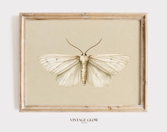 Vintage Motte Illustration druckbare Kunst | Antiker Entomologie Druck | Dark Academia Insekten Dekor