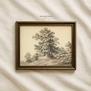 May include: A framed black and white landscape print featuring a large tree on a hillside, with smaller trees and a path in the background. The frame is a dark gold color, and the print has the text "VINTAGE GLOW PRINTS" at the top.