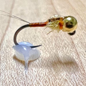 May include: Close-up of a fly fishing lure. The lure features a gold-colored bead head, a brown body, and translucent wings. The hook is dark, and the lure is attached to a clear, teardrop-shaped base.
