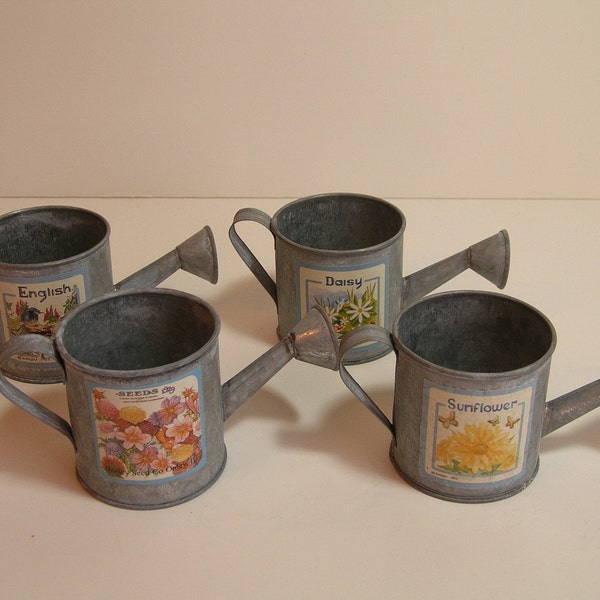 Miniature Watering Cans