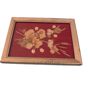 Vintage Pressed Flower Art on Red Velvet – Framed Botanical Decor in Ornate Gilded Frame – Romantic Floral Wall Art