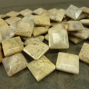 Fossil Coral Gemstone Diamond Beads 26mm 10pc Beige Tan Stone