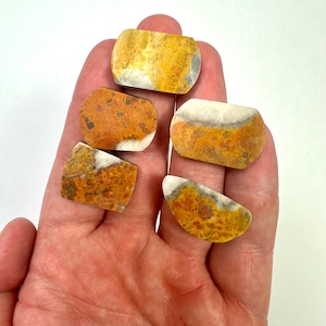 May include: Five polished, irregularly shaped, yellow, orange, and white jasper stones. The stones are smooth and have a mottled appearance.