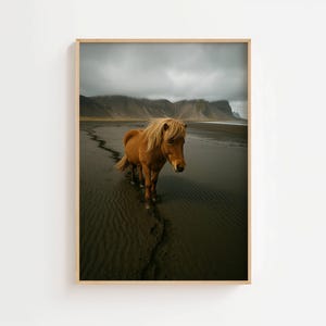 Decorazione murale "Animal Iceland Moody Beach" - Decorazione murale "Cavallo Nordic Mountains" - Decorazione rustica "Islanda Nature"