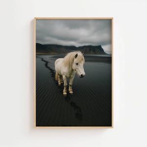 Arte murale con paesaggio costiero e cavalli islandesi - Arte murale nordica con texture e montagne di animali