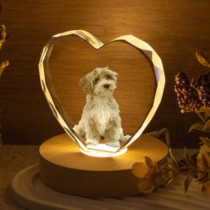 Könnte beinhalten: Ein herzförmiges Kristalllicht mit einem 3D-Bild eines kleinen Hundes im Inneren. Das Kristallherz sitzt auf einem Holzsockel, der von einem warmen Schein beleuchtet wird. Der Hund ist hellbraun und weiß.