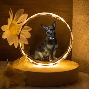 Spersonalizowana lampa kryształowa 3D do zdjęć, lampka nocna z portretem psa, lampa ze zdjęcia kryształowego, prezent ze zdjęciem na Boże Narodzenie, spersonalizowany prezent ze zdjęciem, prezent z okazji straty zwierzaka