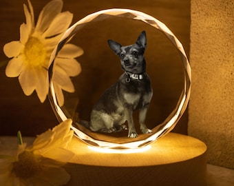Gepersonaliseerde 3D-kristallen fotolamp, nachtlampje huisdier portret hond, foto kristallen licht, kerstfotocadeau, aangepaste fotocadeau, cadeau huisdier verlies