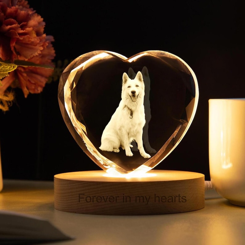 Personalized 3D Crystal Photo Lamp, Pet Dog Portrait Night Light, Photo Crystal Light, Christmas Gift, Custom Photo Gift, Pet Loss Gift Heart#2