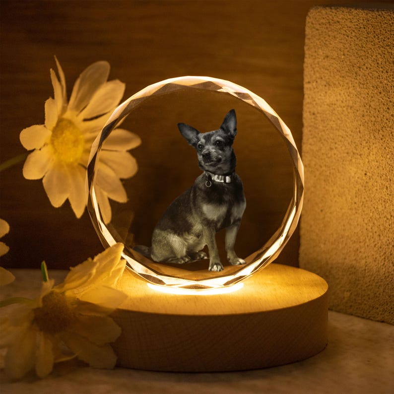 May include: A crystal sphere with a faceted design, illuminated from below, showcasing a grayscale image of a small dog. The sphere sits on a wooden base, with a warm glow emanating from within. Artificial flowers are in the background.