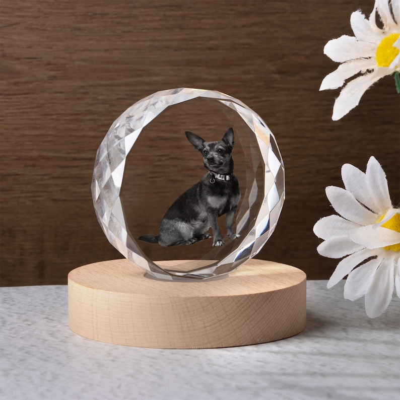 May include: A clear, faceted crystal sphere with a 3D image of a small black and gray dog inside, sitting on a round wooden base. The dog is wearing a collar. The sphere is illuminated by a light within the base.