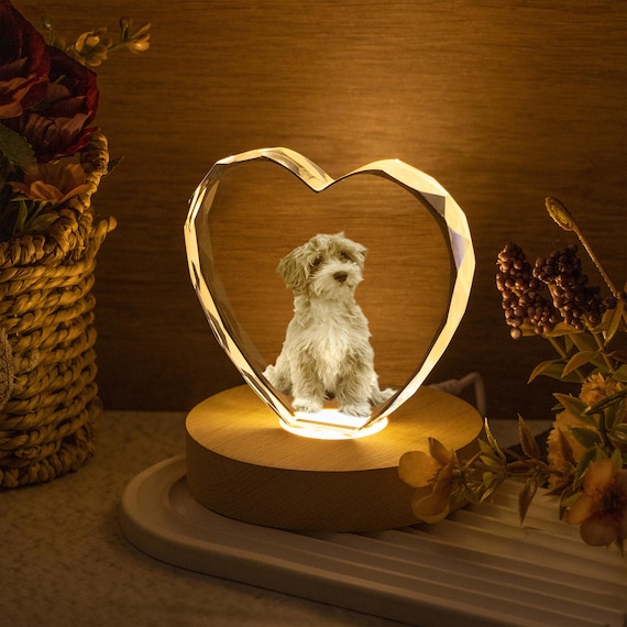 Personalized 3D Crystal Photo Lamp, Pet Dog Portrait Night Light, Photo Crystal Light, Christmas Gift, Custom Photo Gift, Pet Loss Gift