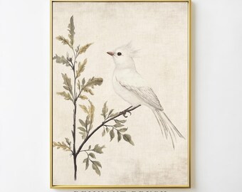 illustration vintage d'oiseau blanc | Impression d'art botanique oiseau imprimable art mural nature décoration cottagecore neutre téléchargement numérique