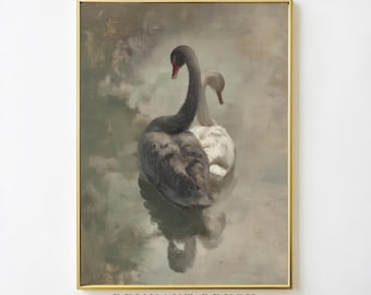 Può includere: Stampa incorniciata in stile vintage con due cigni sull'acqua. Un cigno è nero, l'altro bianco, con becchi rossi. L'opera d'arte ha una tavolozza di colori tenui e una superficie d'acqua riflettente. La cornice è dorata, con il testo "REMANT BRUSH Vintage Printable Art".