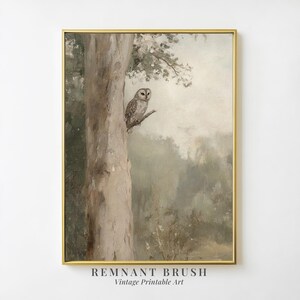 May include: A vintage illustration of an owl perched on a tree branch in a misty forest. The owl is brown and gray with a white chest and a yellow beak. The background is a soft green and brown with a hazy atmosphere.