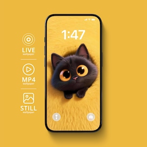 May include: A smartphone screen shows a cartoon black cat with large yellow eyes on a yellow background. The time 1:47 is displayed at the top. The phone's screen shows options for live, MP4, and still wallpapers.