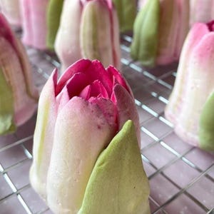 Pu&ograve; includere: Una collezione di dolciumi a forma di tulipano disposti su una griglia metallica. Ogni pezzo presenta una base rosa pallido e bianca con un centro magenta intenso e una singola foglia verde chiaro attaccata al lato, imitando una flor.
